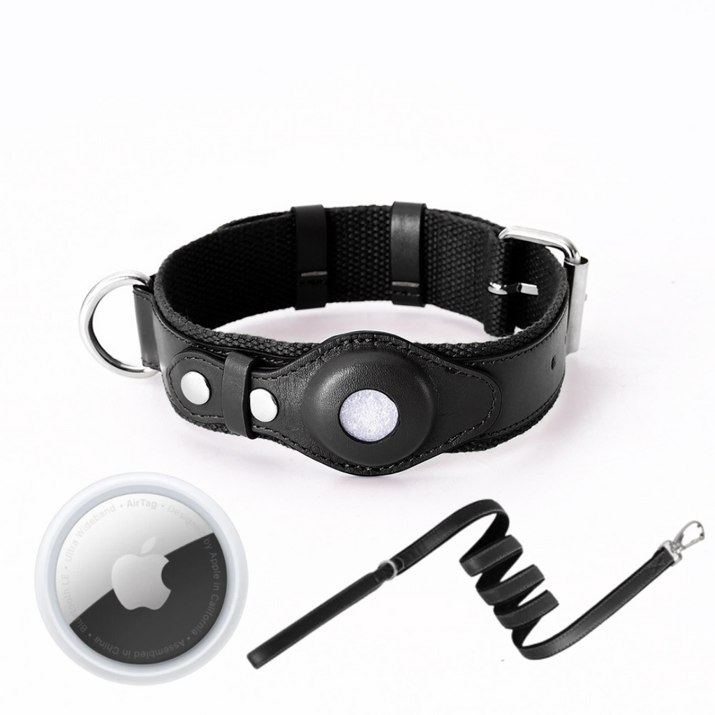 GPS-hondenhalsband met Wereldwijde Tracking zonder Abonnement – GPS Tracker Hond met App, 3 Maten, 5 Kleuren