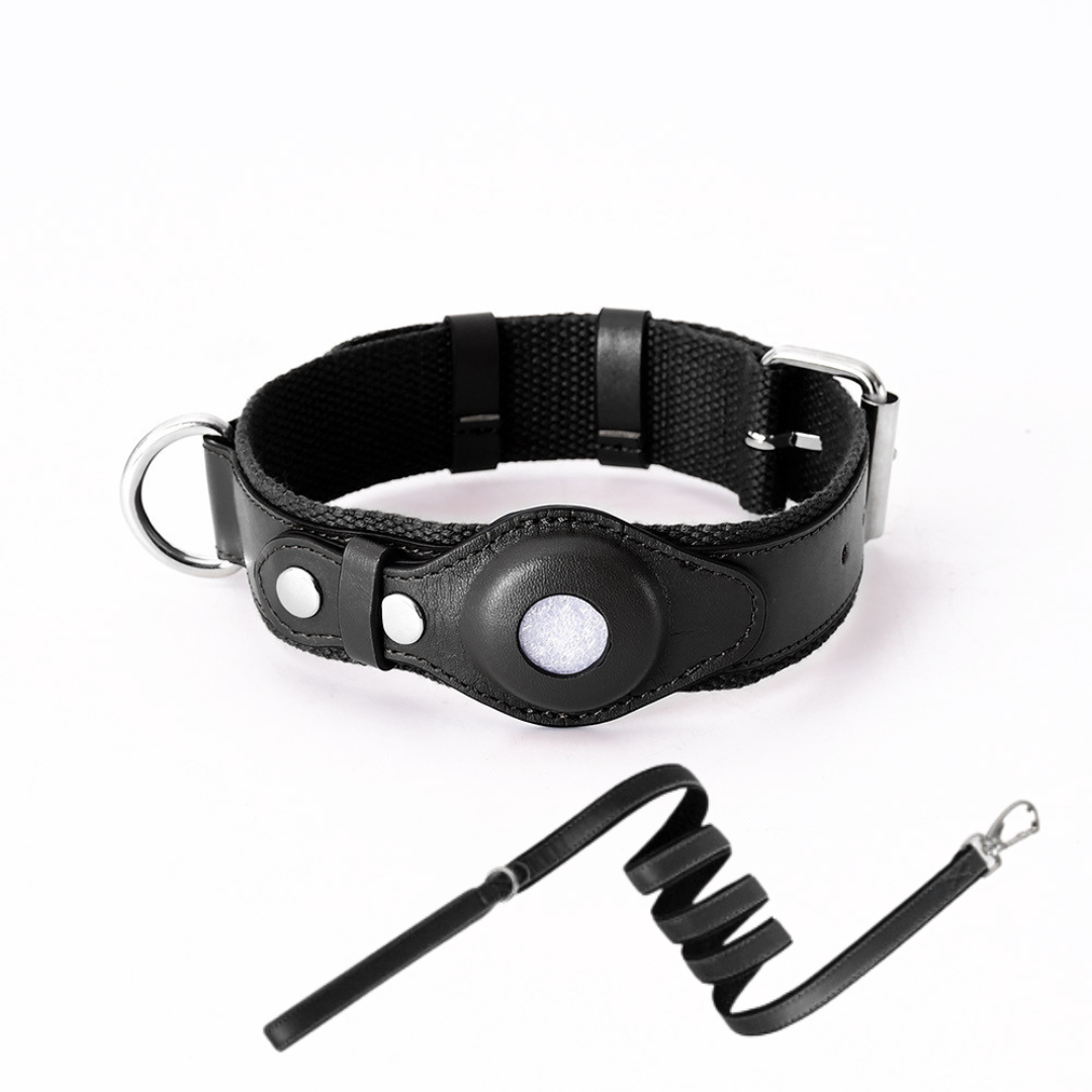 GPS-hondenhalsband met Wereldwijde Tracking zonder Abonnement – GPS Tracker Hond met App, 3 Maten, 5 Kleuren