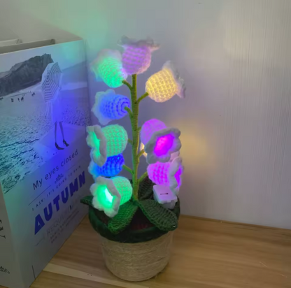 LightBlossom™ | Laat je interieur stralen