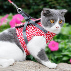 Kattentuigje met Riem – Verstelbaar Tuigje van Ademend Mesh met Snelsluiting & 1,2 m Lijn, XS-S, Blauw, Groen of Rood Rood
